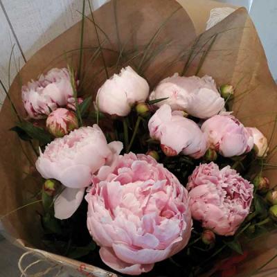 Bouquet De Pivoines