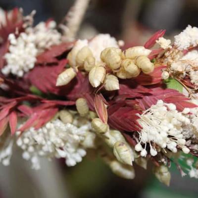 Couronne Fleurs Sechees