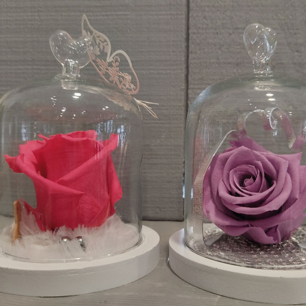 Roses éternelles